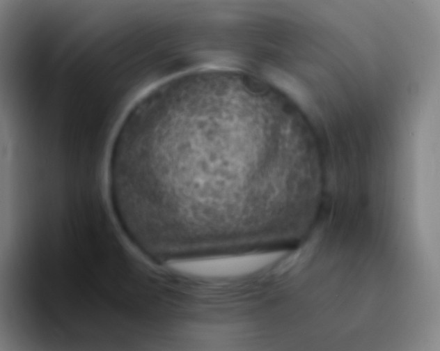 X0000094341471200711162000