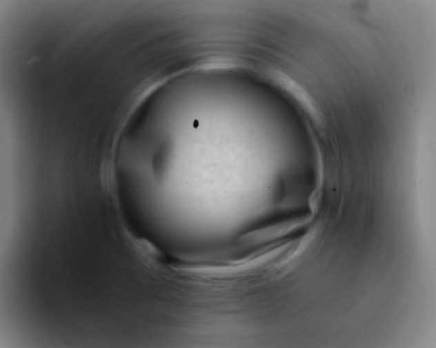 X0000094341473200711162000