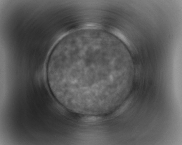 X0000094341474200711162000