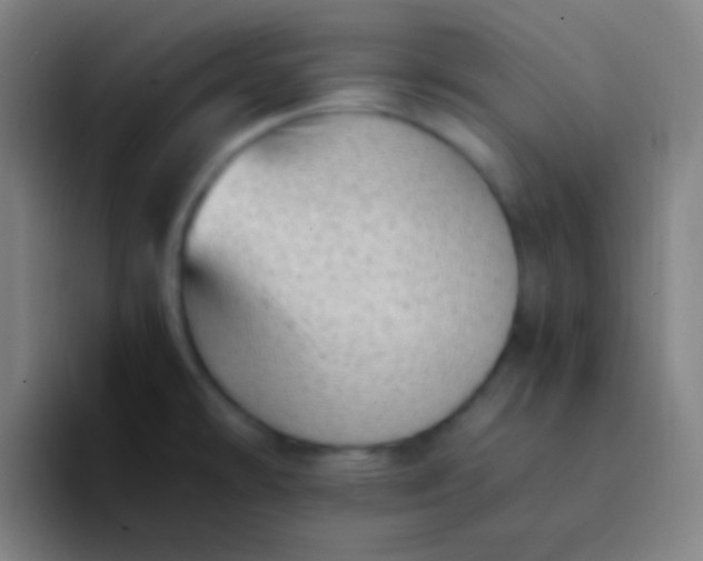 X0000094341478200711162000