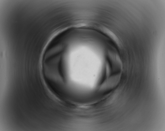 X0000094341483200711162000