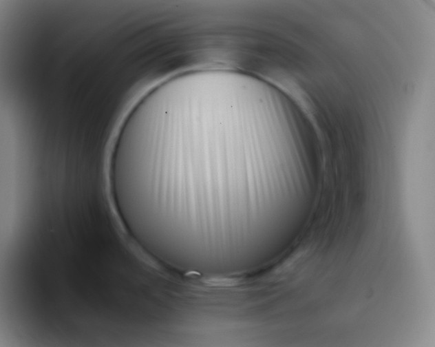 X0000094341488200711162000