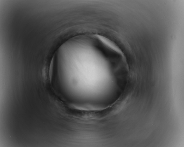 X0000094341490200711161959