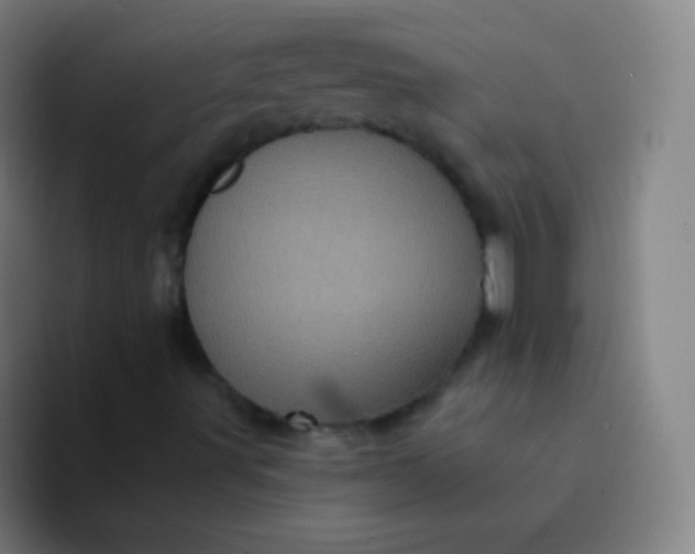 X0000094341491200711161959