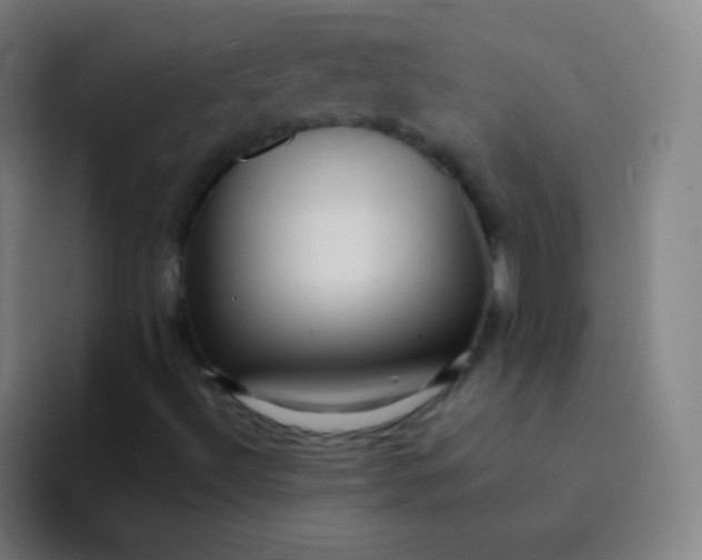 X0000094341492200711161959