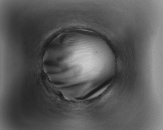 X0000094341494200711161959