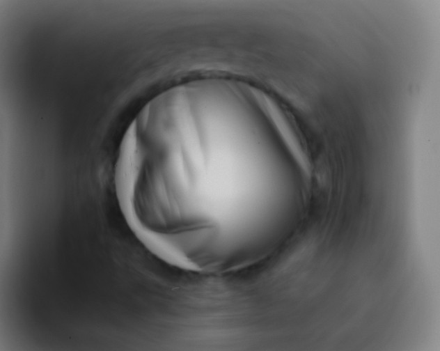 X0000094341495200711161959