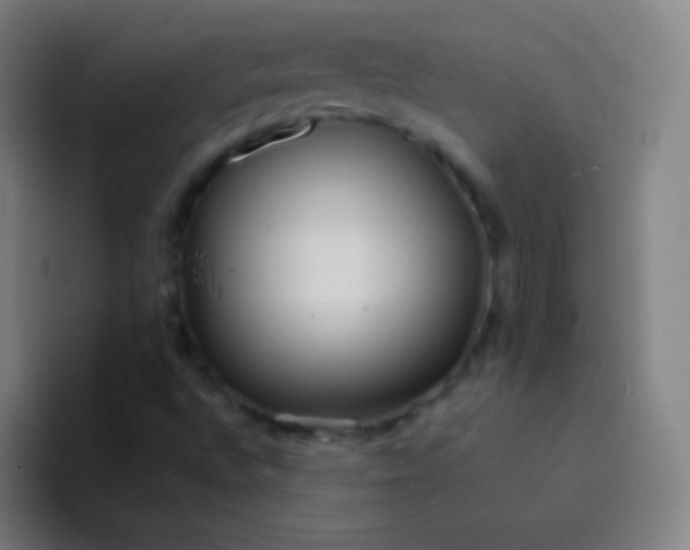 X0000094341496200711161959