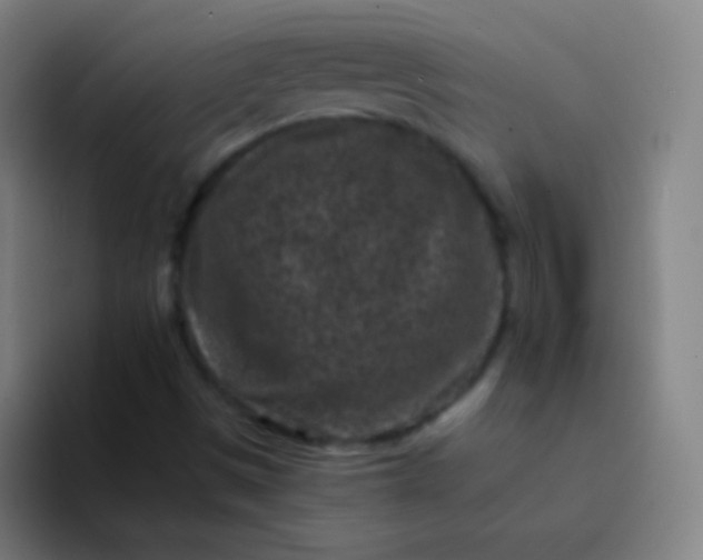 X0000094341497200711161959