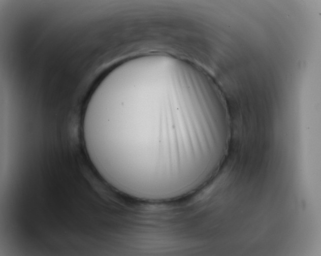 X0000094341499200711161959
