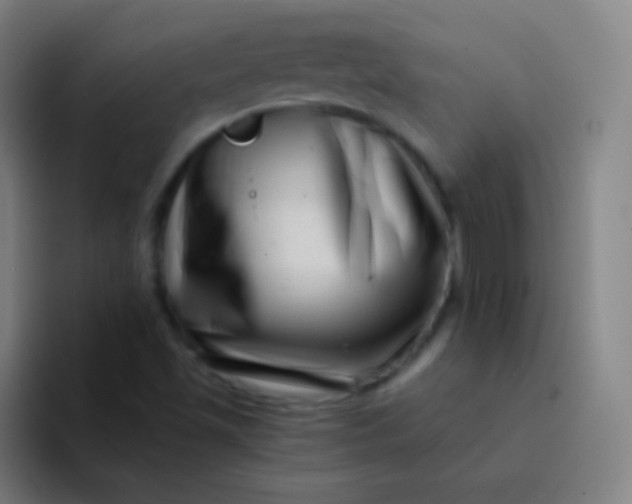 X0000094341501200711161959