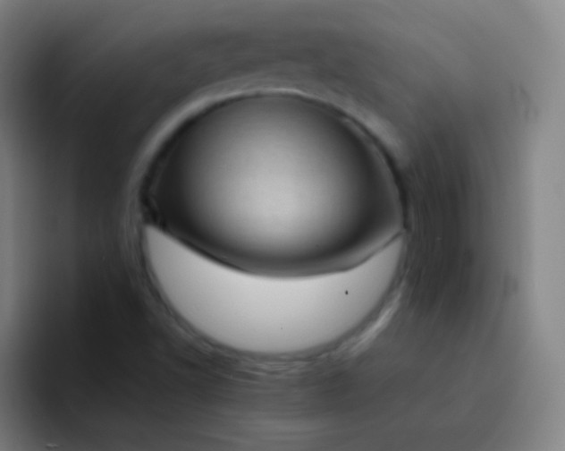 X0000094341502200711161959