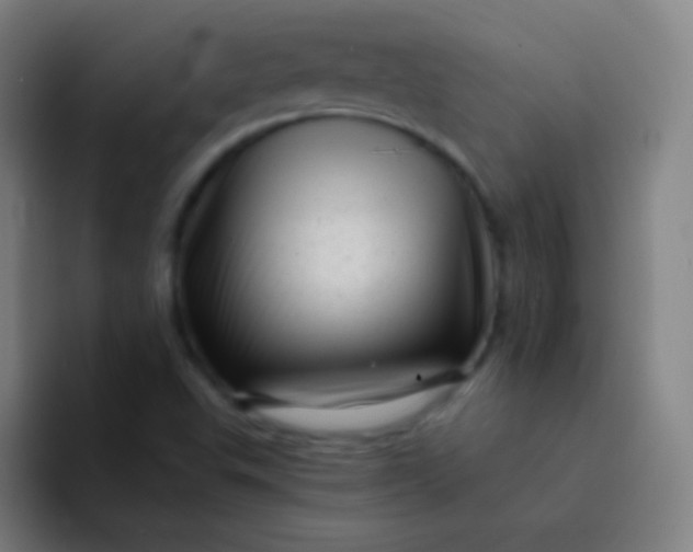 X0000094341503200711161959