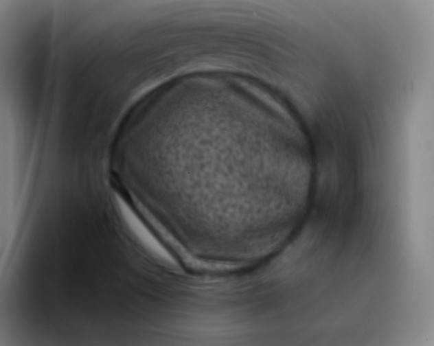 X0000094341505200711161959
