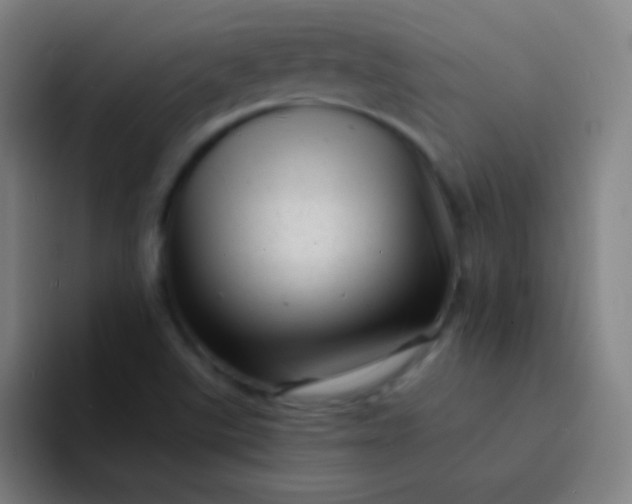 X0000094341507200711161959