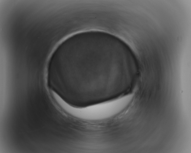 X0000094341508200711161959