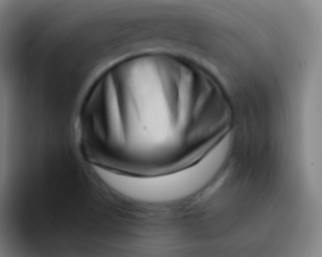 X0000094341509200711161959