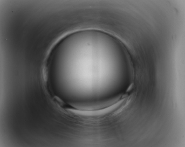 X0000094341510200711161959