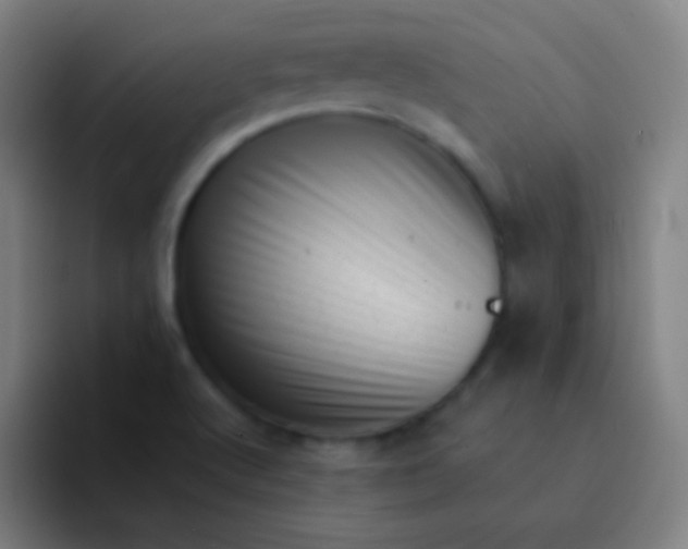 X0000094341512200711161959