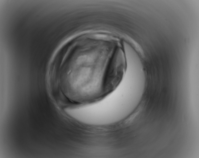 X0000094341514200711161959