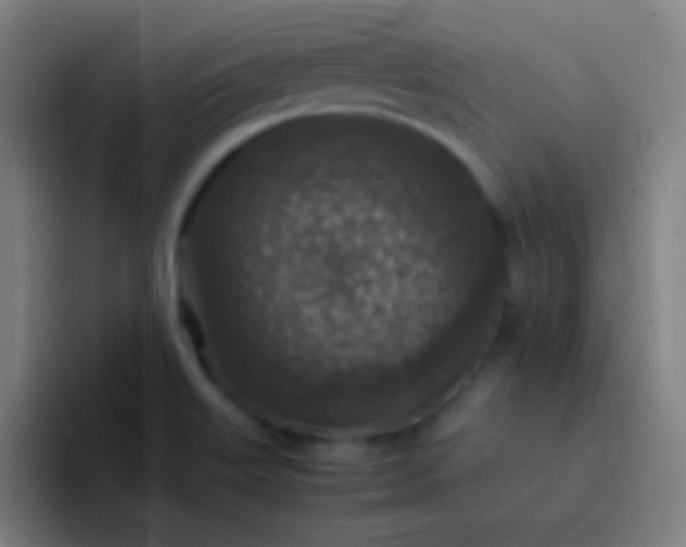 X0000094341515200711161959