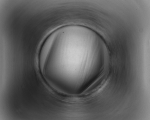 X0000094341517200711161959
