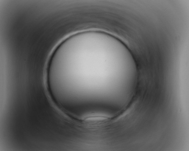X0000094341518200711161959