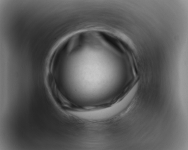 X0000094341520200711161959
