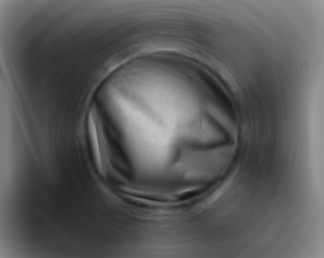 X0000094341521200711161959