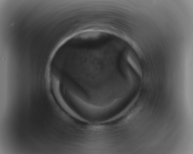 X0000094341522200711161959