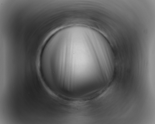 X0000094341523200711161959