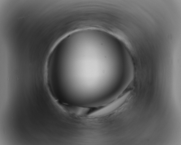 X0000094341524200711161959