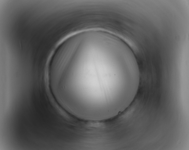 X0000094341526200711161959