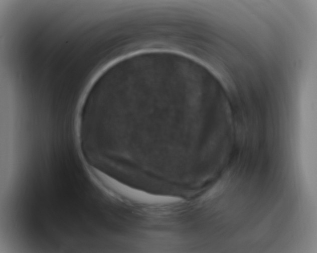 X0000094341527200711161959