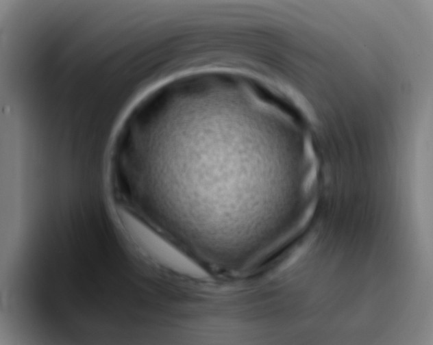 X0000094341530200711162000