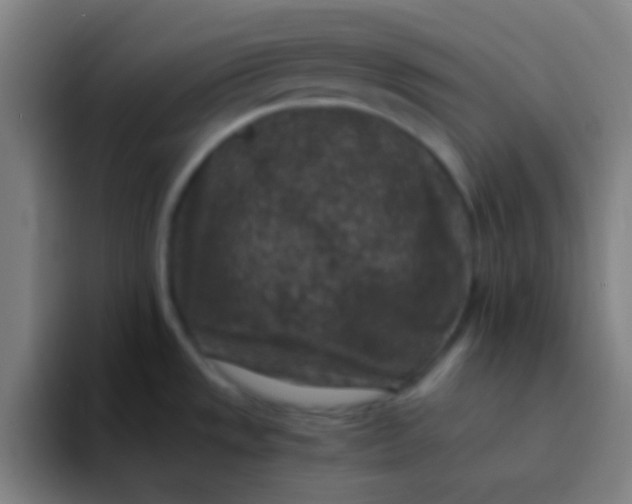 X0000094341533200711162000