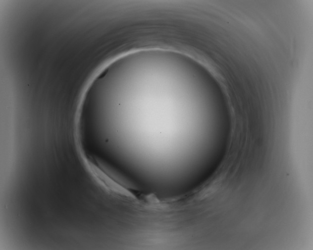 X0000094341536200711162000
