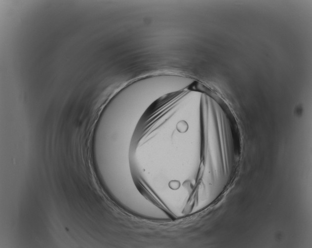 X0000094340001200711241903