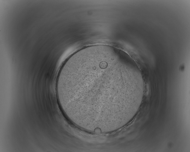 X0000094340004200711241903