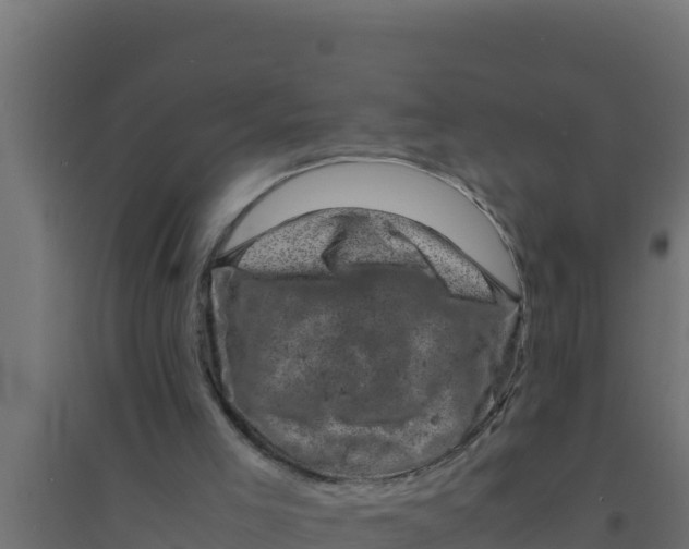 X0000094340005200711241903