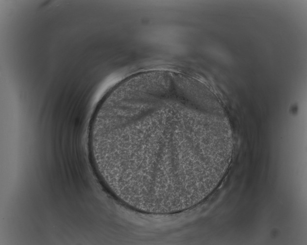 X0000094340006200711241903