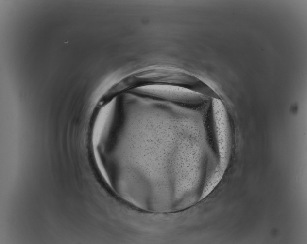 X0000094340007200711241903