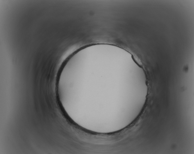 X0000094340008200711241903