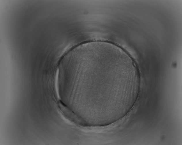 X0000094340009200711241903