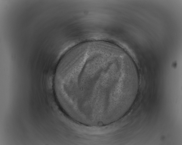 X0000094340010200711241903