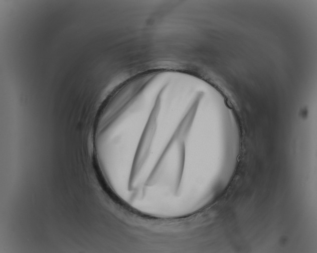 X0000094340011200711241903