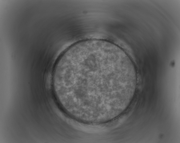 X0000094340012200711241903