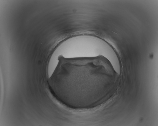 X0000094340013200711241903