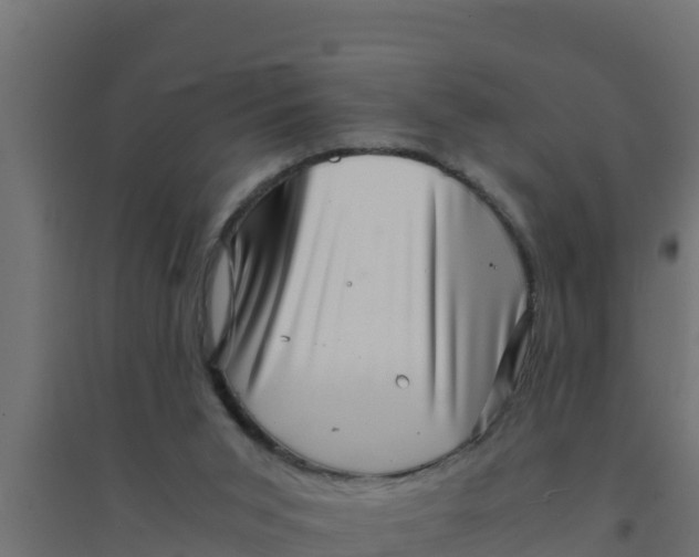 X0000094340015200711241902