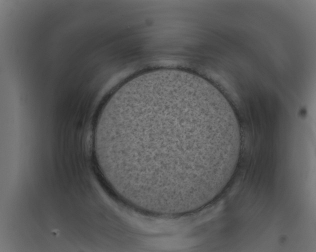 X0000094340016200711241902